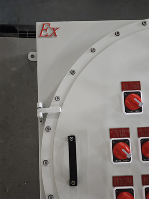 220V ATEX a prova di esplosione Illuminazione Pannelli di distribuzione di energia a prova di corrosione Box di montaggio a parete pannello a prova di esplosione personalizzabile