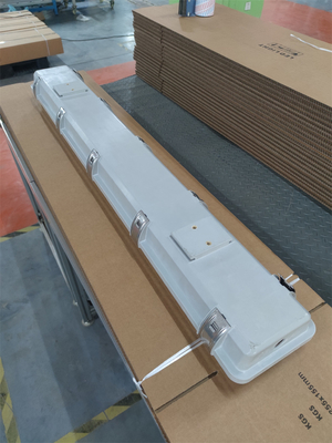 2*36W Luce fluorescente a prova di esplosione IP66 WF2 Livello di protezione IECEx approvato per la zona1 2 Zona21 22 Ambiente pericoloso