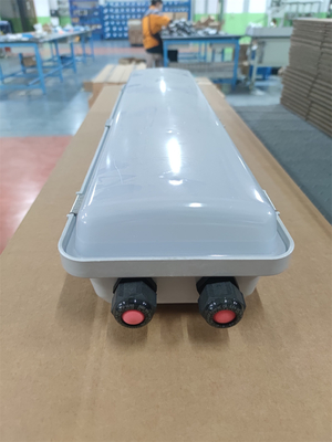 IP66 luci fluorescenti a prova di esplosione con ATEX / IECEx.