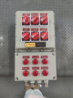 Pannelli di controllo a prova di fiamma a prova di parete a tensione nominale personalizzabile ATEX CNEX ISO9001 Certificazione per soluzioni marine a gas di petrolio