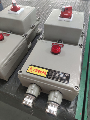 Lisolatore a prova di esplosione ATEX Box IP66 Anticorrosione Aluminio di qualità aerospaziale Per il montaggio a parete Ex D E Per il gas marino Ambiente petrolchimico