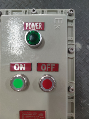 10 mm spessore prova esplosione resistente alle fiamme Controllo Sation Box IP66 anticorrosione personalizzato cavo di ingresso Alta affidabilità per la zona di stazionamento del gas aeroportuale1