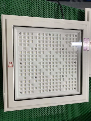 Luce LED a prova di esplosione con lampadina CREE e categoria 50-240Watt