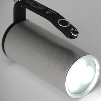 Illuminazione a prova di esplosione per server personalizzabile a LED Protezione IP66 WF2