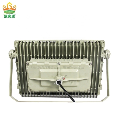 Lampada a LED a prova di esplosione a tensione personalizzabile OEM Server AC90-380V