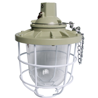 Ex Db Eb IIC T6 Gb,Ex Tb IIIC T80°C Db IP66 Luce a LED anti-esplosione con lampadina CREE