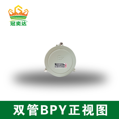 Luce fluorescente antideflagrante per montaggio a parete Ex Mark Exd IIB T6 Gb/Ex TD A21 IP65 T80C