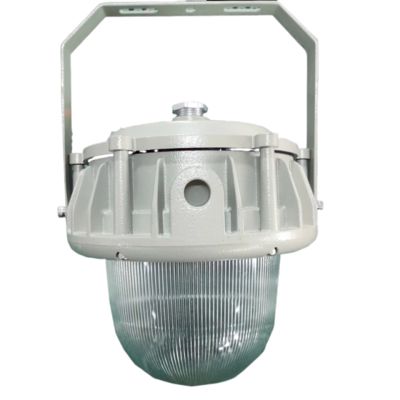 Lampade a LED a prova di esplosione senza manutenzione certificate IECEx disponibili con coperture piatte/coperte a cupola personalizzabili