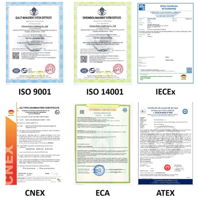 Proiettore High Bay Antideflagrante con Montaggio a Flangia, Certificato ATEX IECEx RoHS per Aree Pericolose