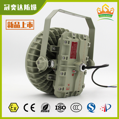 Illuminazione Industriale a LED a Prova di Esplosione Certificata ATEX IECEx Zona 1 & 2 | Luce Impermeabile, Anti-Esplosione, a Risparmio Energetico per Aree Pericolose in Piattaforme Petrolifere, Impianti di Stoccaggio e Magazzini Industriali