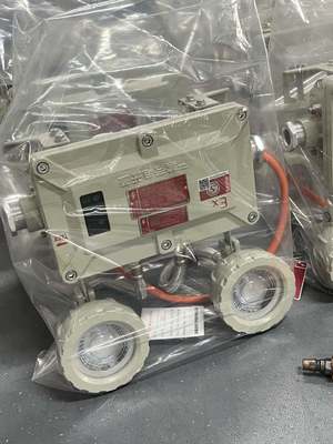 2x3W luce di emergenza a LED a prova di esplosione certificata ATEX IP65