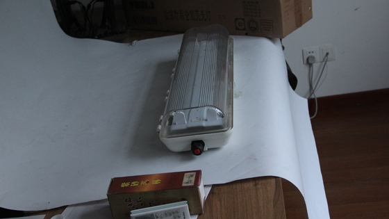 Lampada lineare a prova di esplosione a LED impermeabile per piattaforme petrolifere, impianti chimici e stazioni di rifornimento di benzina certificata ATEX/IECEx/CNEX, efficiente dal punto di vista energetico, durevole e di facile installazione