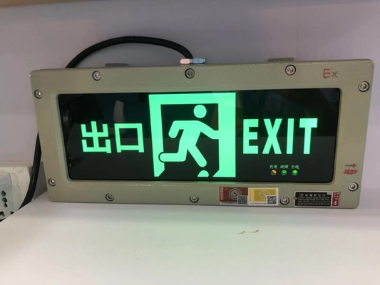 Luce d'emergenza a prova di esplosione ricaricabile con batteria IP65 da 3W 3.6V alimentata per aree pericolose