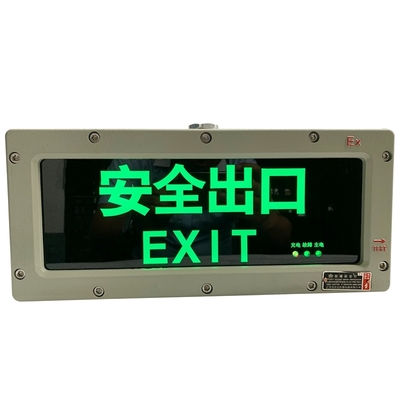 Luce di emergenza ignifuga con modello di superficie personalizzato 3W 220VAC Segnale di uscita per aree e zone pericolose 1 2 ampere 21 22