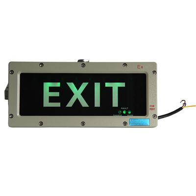 Luce di emergenza ignifuga con modello di superficie personalizzato 3W 220VAC Segnale di uscita per aree e zone pericolose 1 2 ampere 21 22