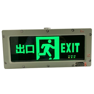 Luce di emergenza ignifuga con modello di superficie personalizzato 3W 220VAC Segnale di uscita per aree e zone pericolose 1 2 ampere 21 22