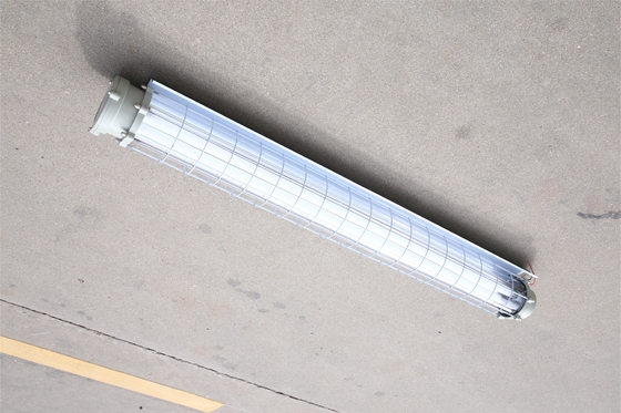 Lampada fluorescente antideflagrante con angolo del fascio 120-140° con Classe di sicurezza Ⅱ e Grado di protezione IP66