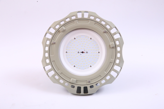 WF2 montato a parete 100 Watt luci a prova di esplosione LED per la zona 2 e 21, 22