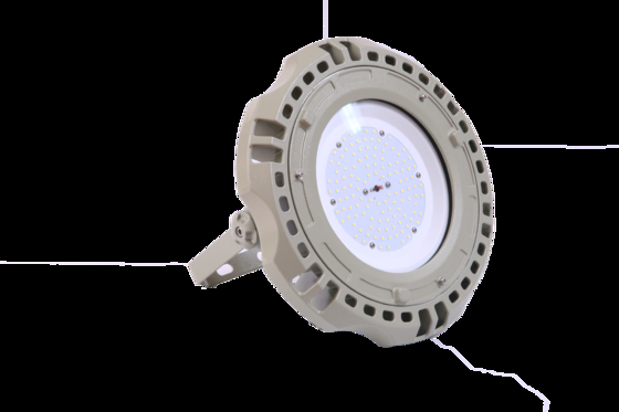 WF2 montato a parete 100 Watt luci a prova di esplosione LED per la zona 2 e 21, 22