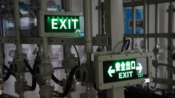 Segnaletica di uscita di emergenza antideflagrante ATEX di alta qualità, luci di avvertimento con motivi personalizzabili, luce di segnaletica di uscita antideflagrante per Zona 1 Zona 2
