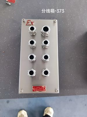 Scatola di giunzione antideflagrante in acciaio inossidabile 304 personalizzabile, scatola di giunzione FLP, involucro anticorrosione