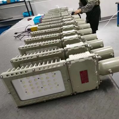 Lumiera a prova di esplosione ad alta luminosità IP66 WF2 livello di protezione