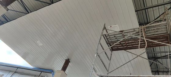 Luce a LED di inondazione intrinsecamente sicura 10,85 kg Peso e 80 ± 2 CRI di riproduzione del colore per l'illuminazione delle aree pericolose