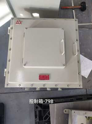 IP66 WF2 Protection Level Explosion Proof Panels for Customized Cable Entry in Hazardous Environments