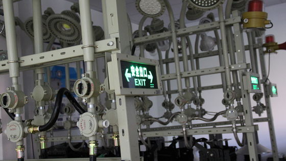Vendita Diretta di Fabbrica Atex LED Antideflagrante Emergenza Industria Chimica Ip66 Luci di Uscita Impermeabili per Stazioni di Servizio