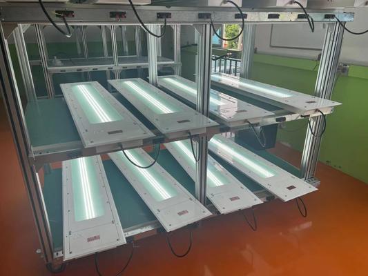 IP66 Certified Ceiling Mount Explosion Proof Light Fluorescente con temperature dei colori personalizzabili