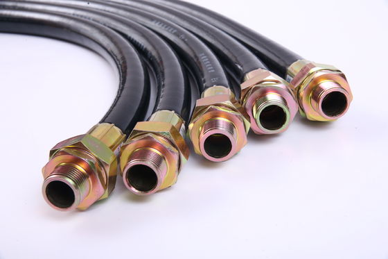 Fabbrica di raccordi per tubi elettrici flessibili a prova di esplosione