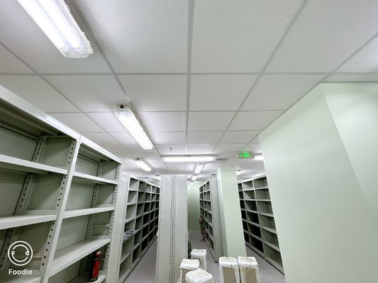 18w 36w 54w Materiale GRP Lineare a Led Luce a prova di esplosione 1.2M 100lm/w Con 5 anni di garanzia Atex