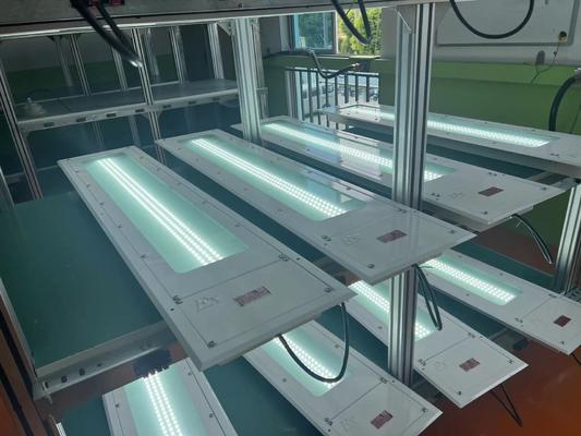 0.6M 1.2M 100LM/W Luminaria a LED lineare a prova di esplosione 36w Lampada industriale sicura T6 a LED in acciaio a prova di esplosione Luce lineare