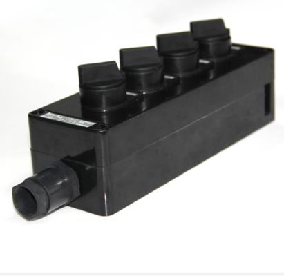 Voltaggio 50 60HZ Interruttore a prova di esplosione Ex Marcatura Ex Db IIC T6 Gb Corrente 10A Fornisce sicurezza in ambienti esplosivi