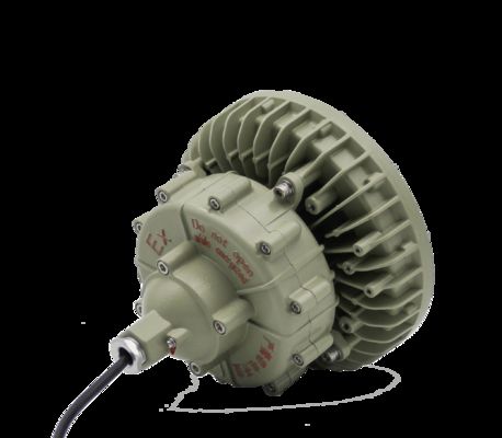 ATEX Area pericolosa Lampada industriale a prova di esplosione 50W 100W 150w Lampada a prova di esplosione LED per stazioni di servizio