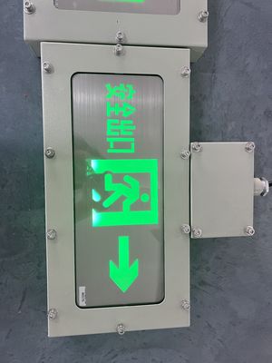 Luce di emergenza per fuga da parete 3W 120 180 Minuti Colori personalizzati Indicatori LED Superficie personalizzabile per Zona 1 e Zona 2