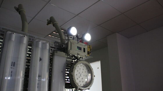 Illuminazione a LED di alta qualità ATEX IP66 Luce di emergenza Ricaricabile a doppia testa Luce di uscita Zone pericolose 1 e 2