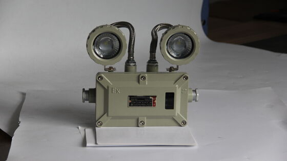 Illuminazione a LED di alta qualità ATEX IP66 Luce di emergenza Ricaricabile a doppia testa Luce di uscita Zone pericolose 1 e 2