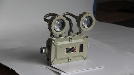 ATEX × CNEX 220VAC 50Hz CCT 4500-6500K Luce di emergenza a prova di esplosione personalizzabile