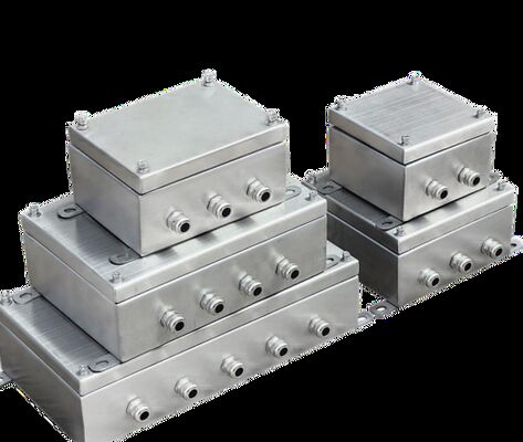 Acciaio inossidabile 316 a prova di esplosione, resistenza alla corrosione