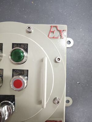 Prodotto in Cina ATEX 220V/380V BLK IP65 Interruttore di isolamento antideflagrante adatto per il montaggio a parete
