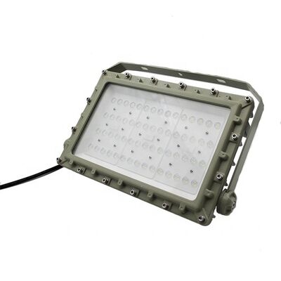 Faretto LED antideflagrante OEM CRI Ra80 Protezione IP66 WF2 Progettato per ambienti pericolosi Illuminazione industriale