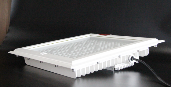 Luce di inondazione a LED antideflagrante Luce per stazioni di servizio ad alta luminosità 100–250 W Temperatura colore massima 5700 K con 5 anni di garanzia