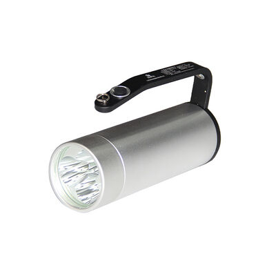 Illuminazione a LED antideflagrante a vita utile di 50000 ore con autonomia di emergenza di 16 ore per un'illuminazione industriale sicura