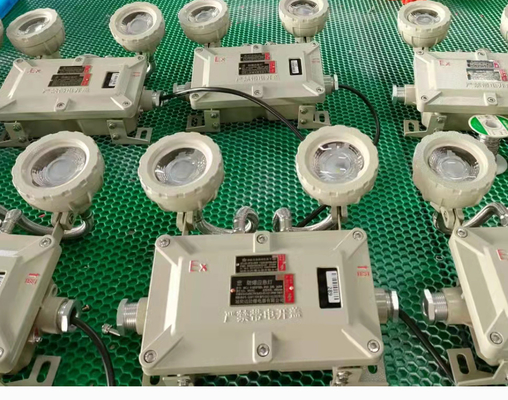 Luce di emergenza a prova di esplosione montata a parete con 1CCT80 Min tempo di emergenza utilizzato per le aree industriali