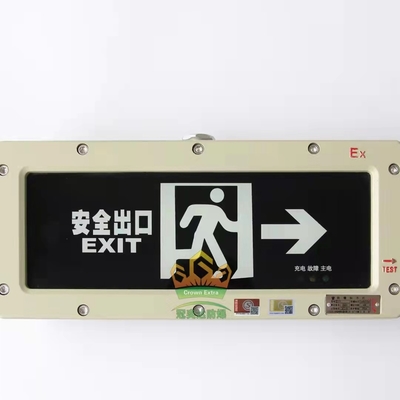 Luce di emergenza ricaricabile antideflagrante – 3W, batteria 3,6V, IP65 per aree pericolose