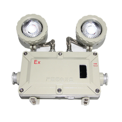 2*3w resistente all'acqua resistente all'esplosione resistente alle fiamme luce di emergenza con montaggio a parete e soffitto