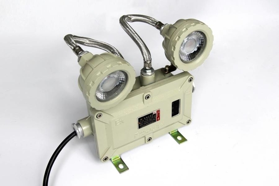2*3w resistente all'acqua resistente all'esplosione resistente alle fiamme luce di emergenza con montaggio a parete e soffitto