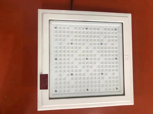 ATEX 18*18 pollici di forma quadrata luce a prova di esplosione 100w 130lm/w luce di stazione di servizio con cinque anni di garanzia