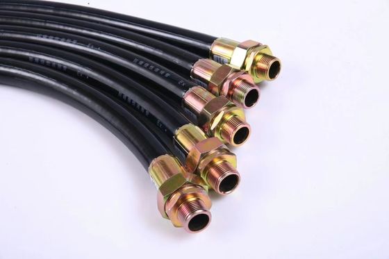 Tubo flessibile antideflagrante in acciaio inossidabile con condotto flessibile elettrico durevole in PVC